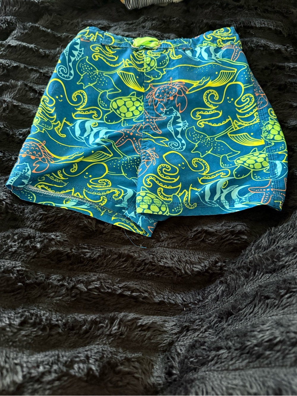 Boys 24 month / 2T Bundle 12 pieces - Picture 8 of 15